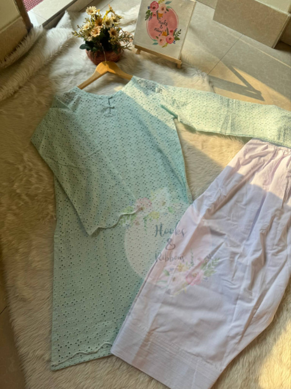 Chickankari Farshi Salwar Set(Sky🩵)